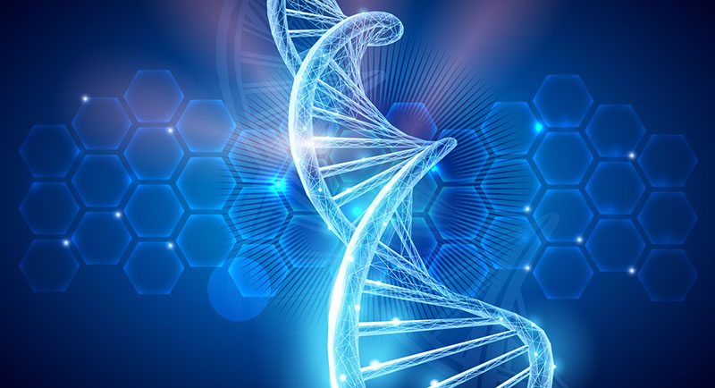 DNA test otcovstva ŠTANDARD
